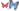 Wings details... Butterflies (Expires Soon) wing