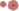 Wings details... Poppies (Expires Soon) wing